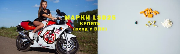 спайс Аркадак
